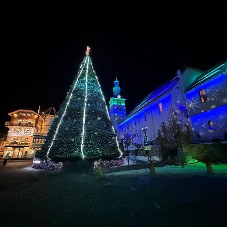 Apartament Mamie 4 Etoiles *